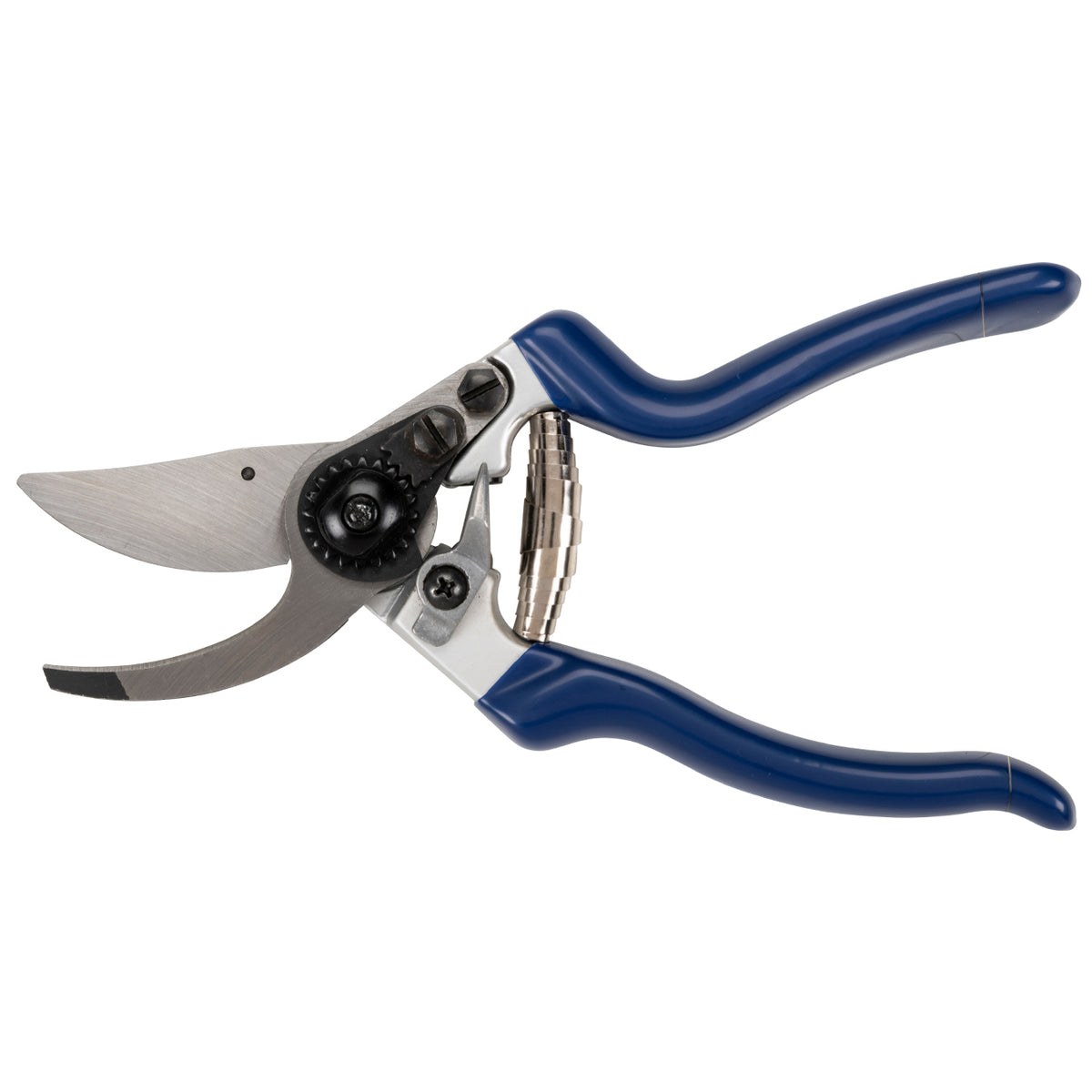 Real product photograph: Professional Bypass Secateur - RHS Endorsed